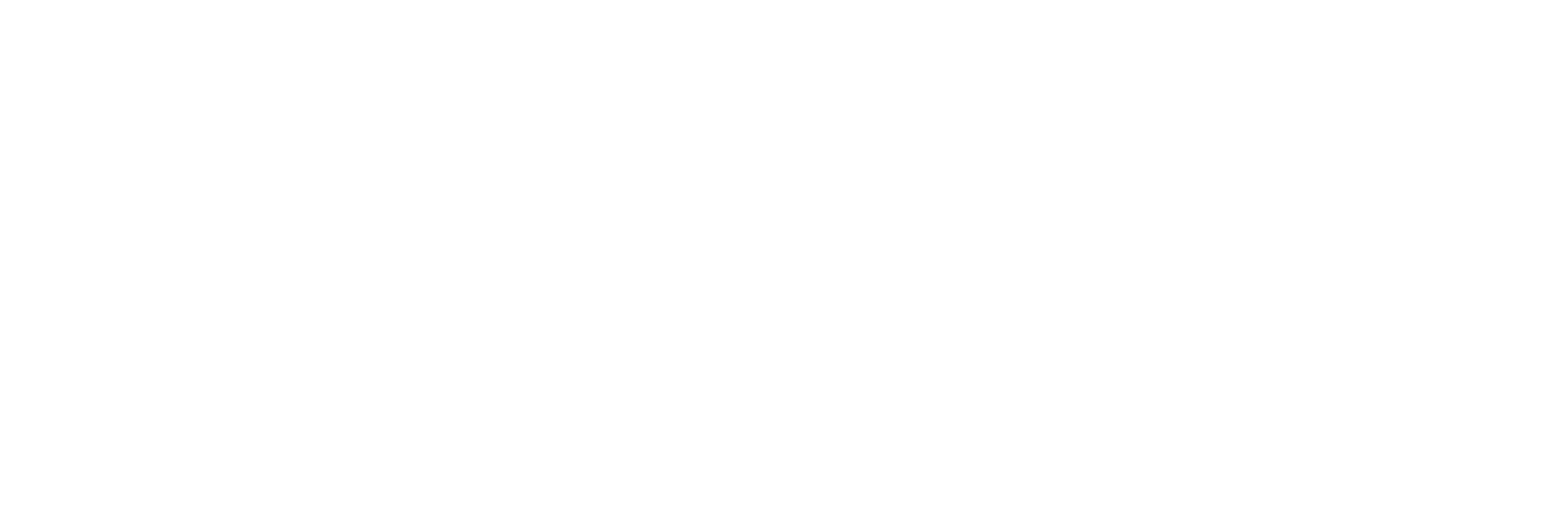 Game Over Store